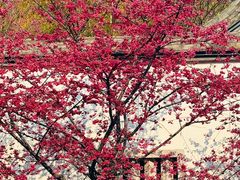 -乌山风景区