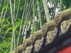 -成都武侯祠博物馆