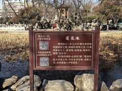 -莲湖公园