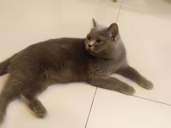 -平行世界·猫咖(首经贸店)