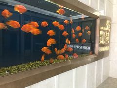 -凯荟·不止酸菜鱼(广州鸿德国际店)