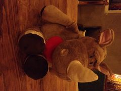 Africafe（非洲咖啡）-Africafe(非洲咖啡)