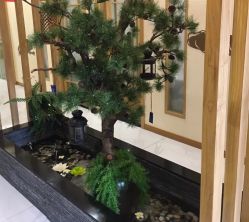 -芳朵美容养生SPA