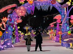 -沈阳奥体冰雪嘉年华