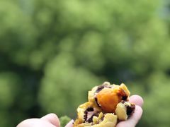 -汪玉霞(汉口里店)