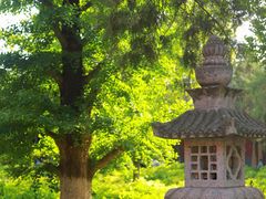 -洛阳白马寺