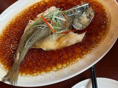 葱油蒸鲈鱼-古南都·老广东酒楼(龙江店)