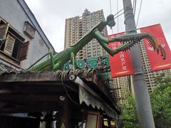 -昆虫窝子·特色云南菜(拓东路总店)