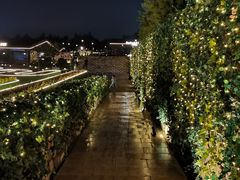 -莫子山公园