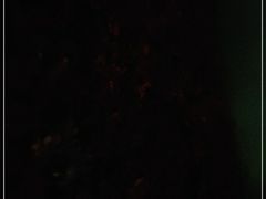 -猎德游泳池(猎德花园店)