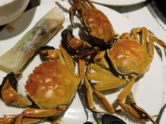-半岛听涛蒸汽海鲜自助(K11店)