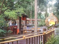 -二荆条·蜀鲜汇城市森林火锅