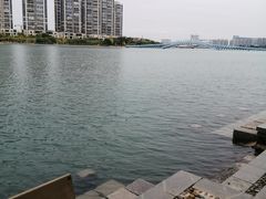 -五缘湾湿地公园