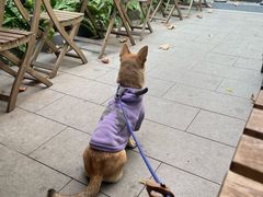 -一尺花园(安和花园店)