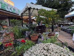 -山菌美食苑(振兴路店)