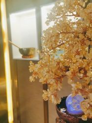 -栖SPA·ONDA ·海菲秀·皑皑科技美肤中心