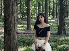 -黄海国家森林公园