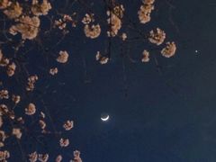 -上海南浦大桥长途旅游客运站