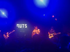 -坚果NUTS