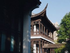-红梅公园