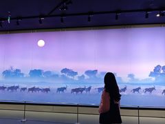 -罗红摄影艺术馆