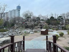 -莲花池公园