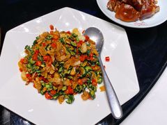 自制脆瓜炒花蛤-巴音浩日娲·蒙餐(双林东路店)