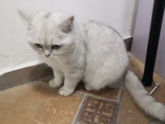 -青春加萌照相馆