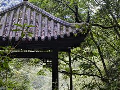 -西岭雪山大飞水景区