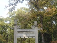 -灵谷景区