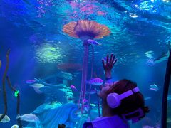 -沈阳海洋探索中心