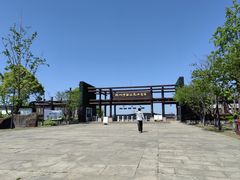 -杭州湾海上花田景区