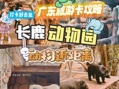 -长鹿旅游休博园