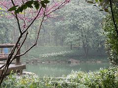 -大奇山国家森林公园
