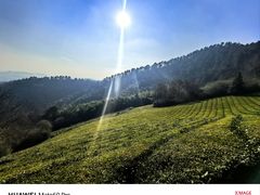 -敬亭山风景名胜区