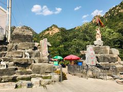 -大岭沟猕猴桃谷风景区