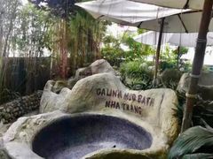 -100蛋泥浆浴