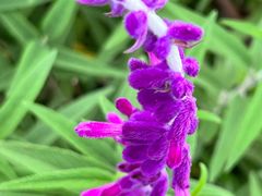 -桤木河湿地公园