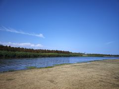 -春花秋色城市公园