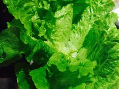 -丰乐斑鱼庄(建业·壹号城邦店)