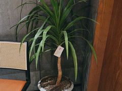 -陈熹公民族美食文化餐厅(中华广场店)