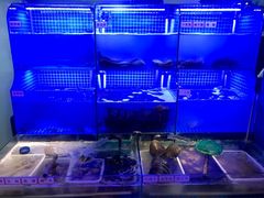 水产区-捞围鲜·港式打边炉(海阳路店)