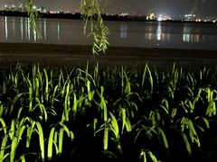 -西昌邛海宾馆