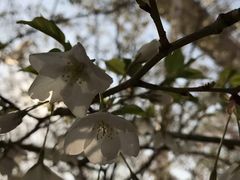 -南京外国语学校(仙林分校西区)