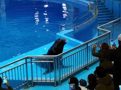 -多彩贵州城极地海洋世界