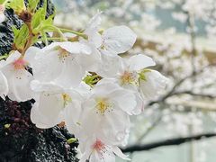 -85度C(南京龙江店)