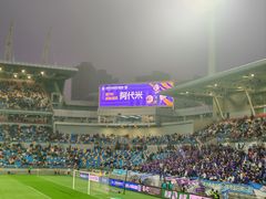 -泰达足球场