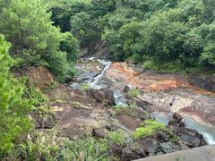 -广州白江湖森林公园