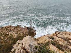 -广东惠东海龟国家级自然保护区