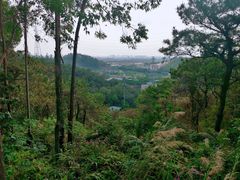 -滴水岩森林公园